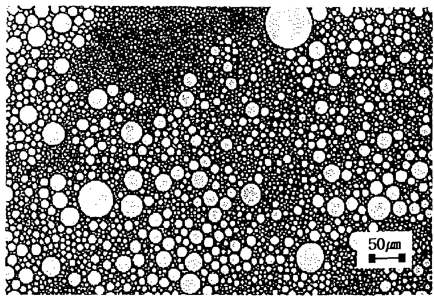 Microphotograph of emulsion contained 5% surfactant