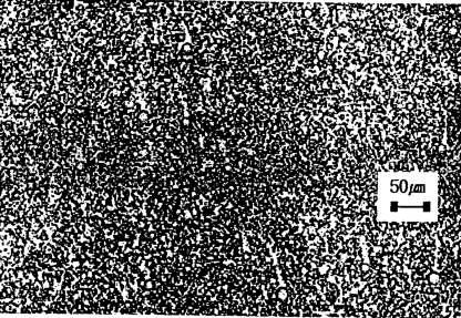 Microphotograph of emulsion contained 25% surfactant