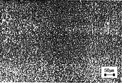 Microphotograph of emulsion contained 30% surfactant