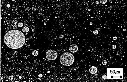 Microphotograph of solution that containing 60% of silicone diluted by the solution containing 20% of silicone