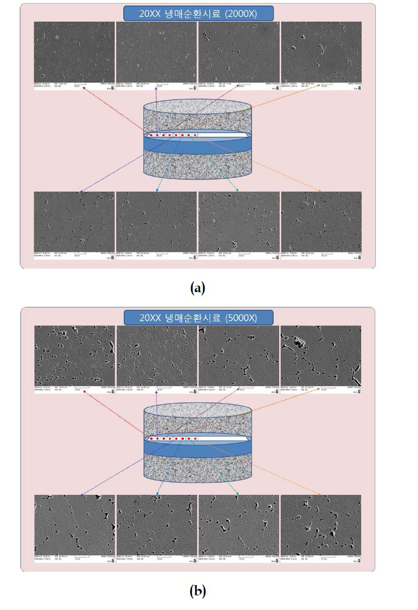 Al합금 2024계열의 봉상(∅80*300) 시료를 530℃에서 1시간 동안 가열 후, 냉각조의 냉매를 강제 순환시키면서 용체화 처리된 시료의 SEM에 의한 미세조직 관찰; (a) 2000X, (b) 5000X.