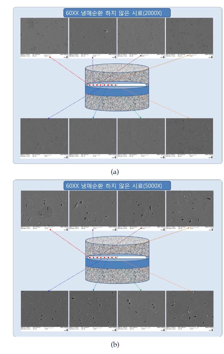 Al합금 6061계열의 봉상(∅80*300) 시료를 530℃에서 1시간 동안 가열 후, 냉각조의 냉매를 순환하지 않고 용체화 처리된 시료의 SEM에 의한 미세조직 관찰; (a) 2000X, (b) 5000X.
