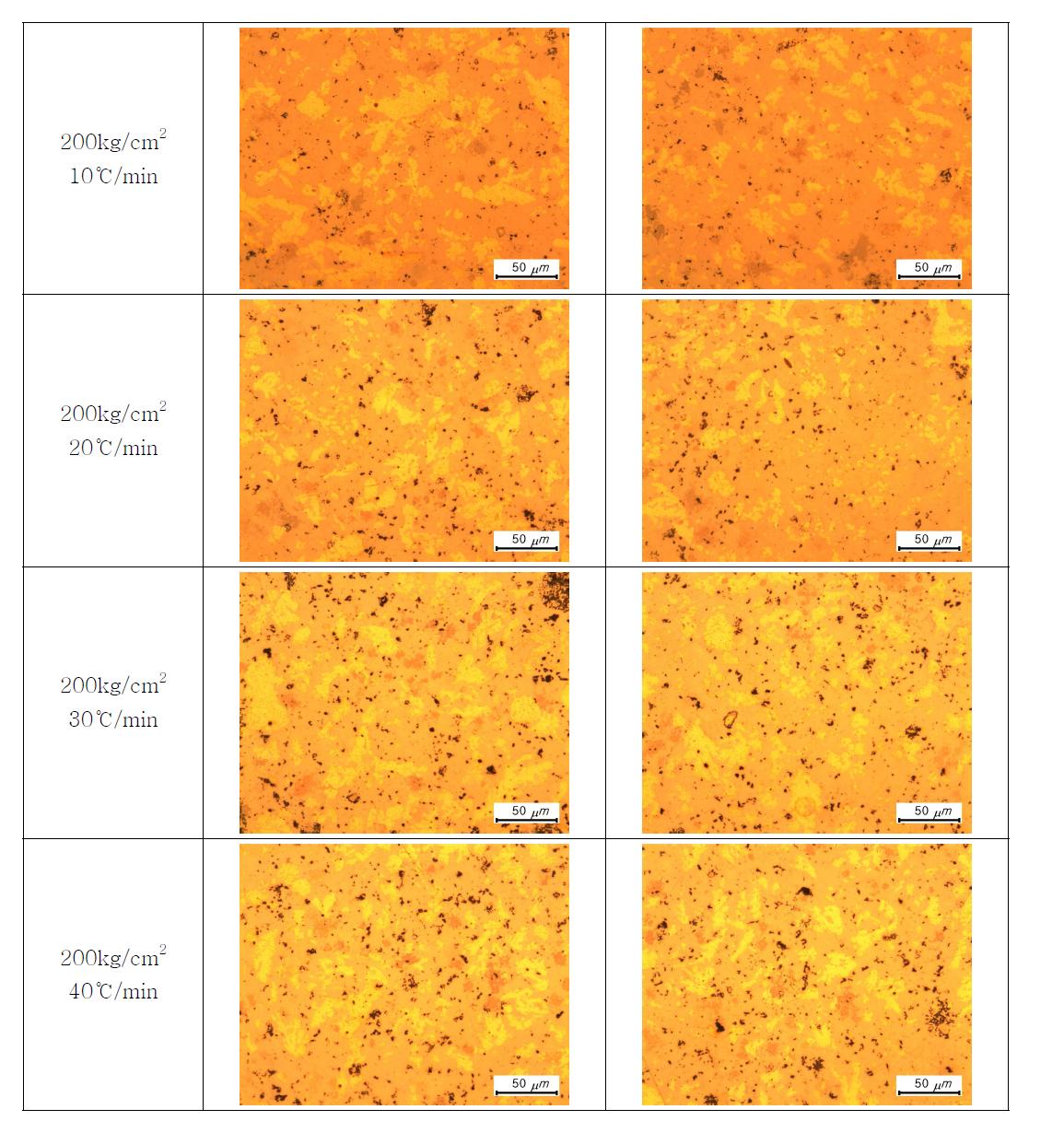 승온 속도별 소결 시편의 광학현미경 사진