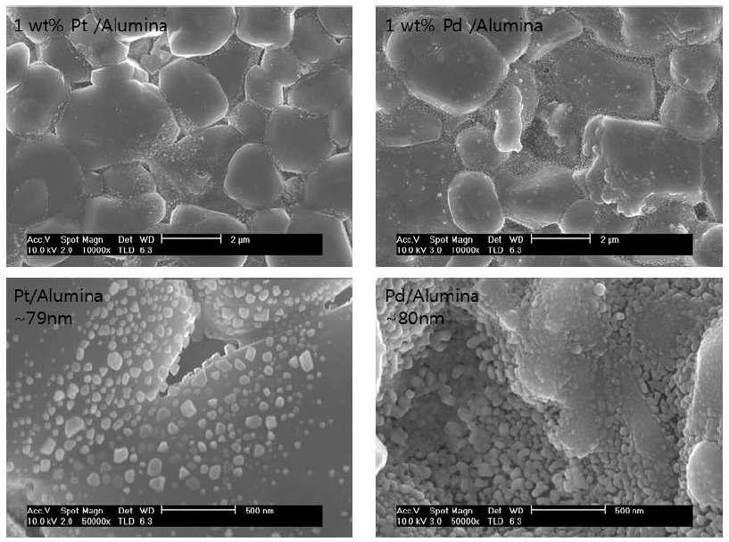 Pt 및 Pd 촉매의 분산도
