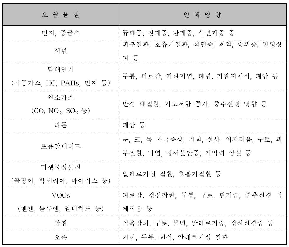 실내 오염 물질 영향