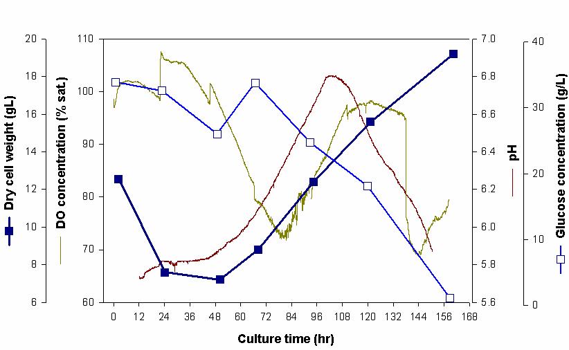 Time-course profiles of DCW, DO, pH and residual glucose in the final production bioreactor-culture (Raw brown rice bran was used as a carbon source).