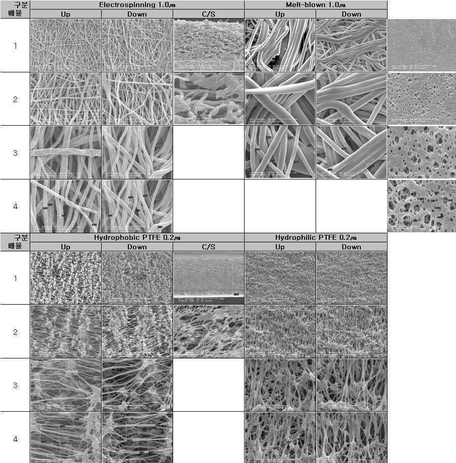 PTFE SEM image