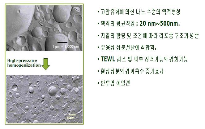 나노에멀젼의 특징 및 장점