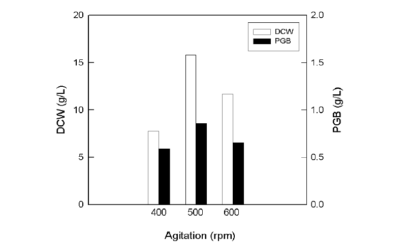 교반 속도에 따른 PGB 생산의 변화