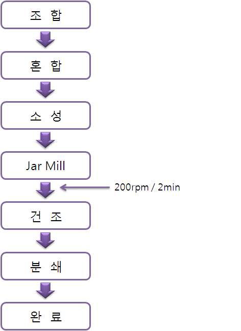 실험 공정도