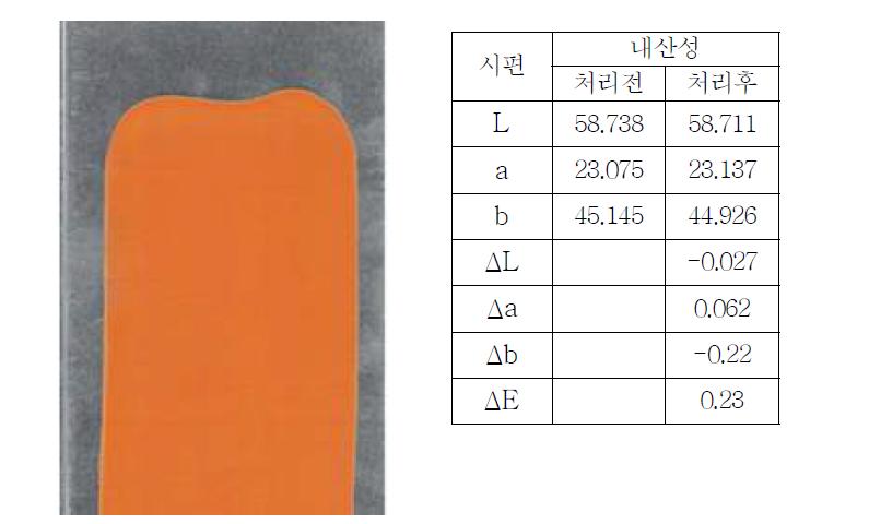 내산성 Test 색차값