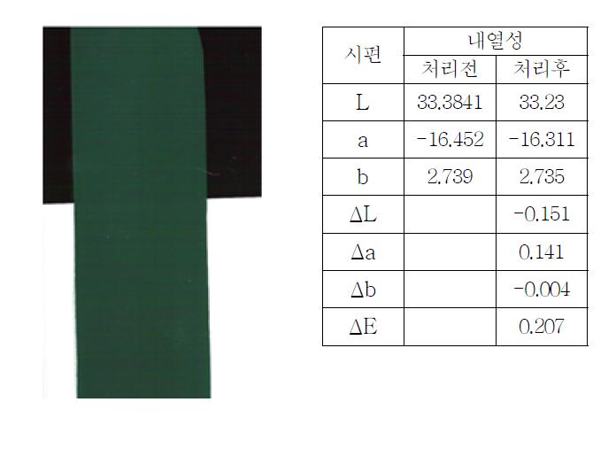 내열성 Test Color값