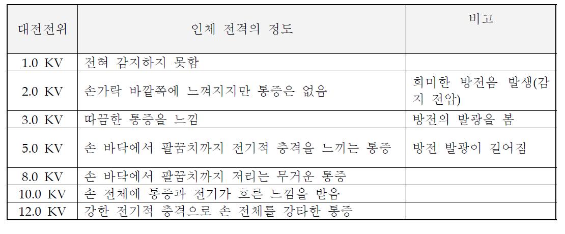 대전전위와 인체의 전격 정도