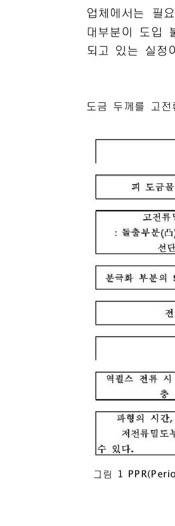 PPR(Periodical Pulse Reverse) System을 이용한 도금 진행상태