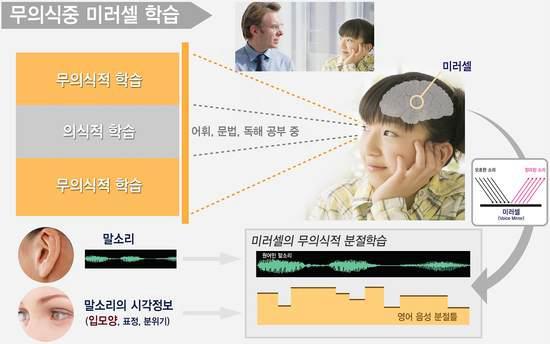 미러셀에 의해 소리와 발음기관들의 연동되어 패턴을 구축하는 과정 개념도