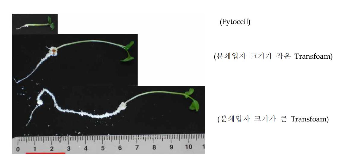 포트를 이용한 배양에서 배지의 분쇄입자 크기에 따른 묘의 뿌리발달정도