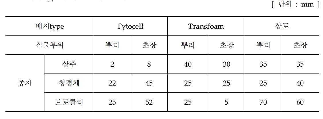 배지 type에 다른 묘의 발달정도