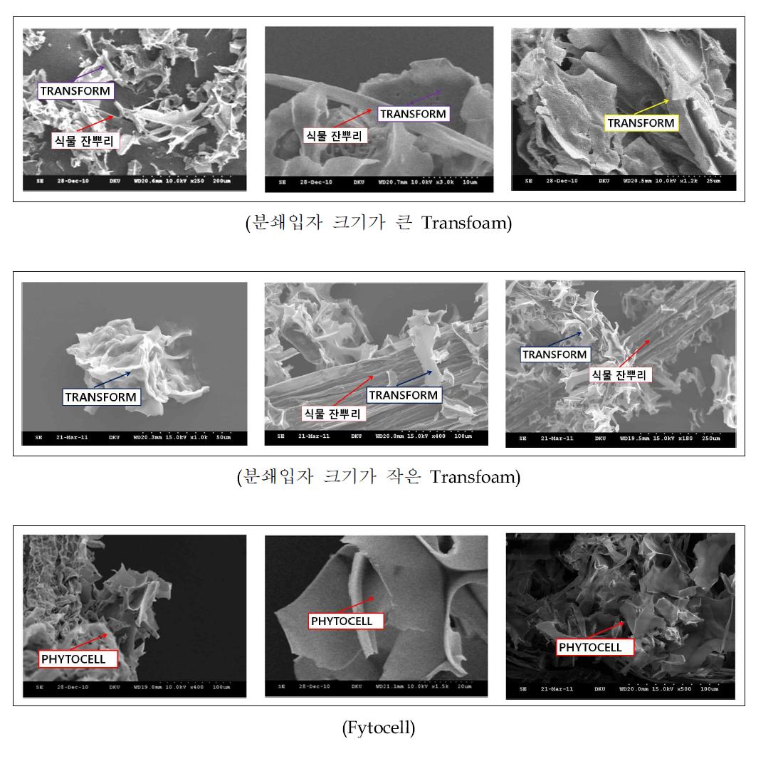 배지 type에 따른 배지와 식물 뿌리의 상관관계