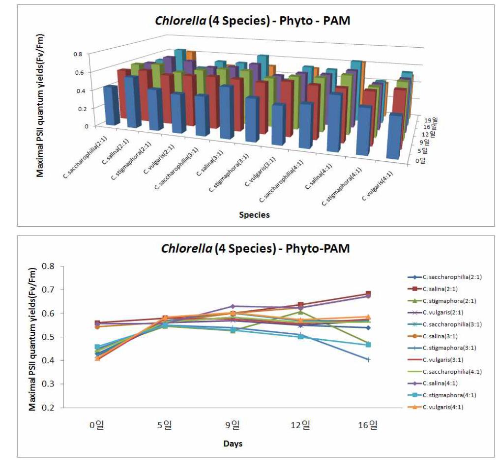 LED파장에 따른 4종의 해양 Chlorella의 광합성 효율 변화 (3차원와 2차원 그래프)(R파장:B파장)