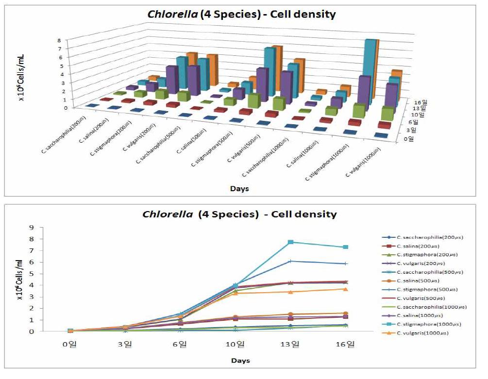 LED파장 pulse에 따른 4종의 해양 Chlorella의 세포밀도 변화