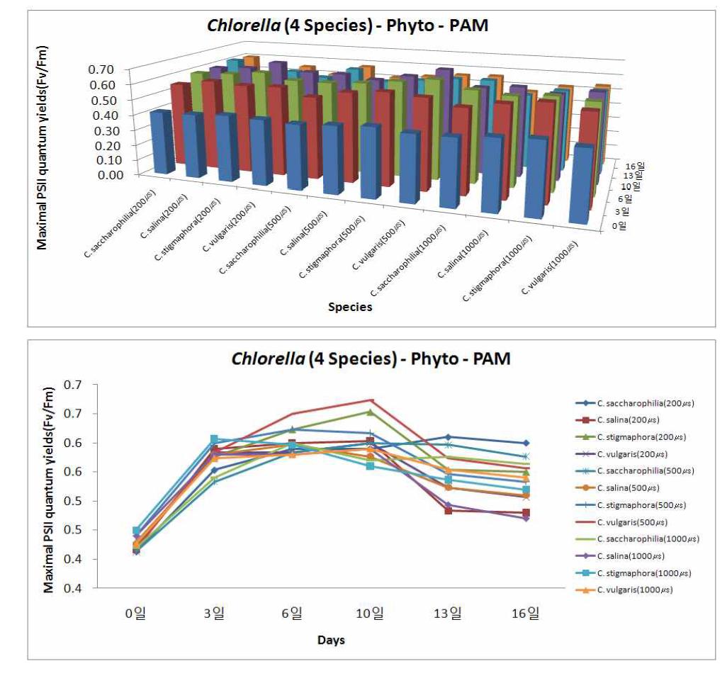 LED파장 pulse에 따른 4종의 해양 Chlorella의 광합성 효율의 변화 (3차원와 2차원 그래프)(R파장:B파장)