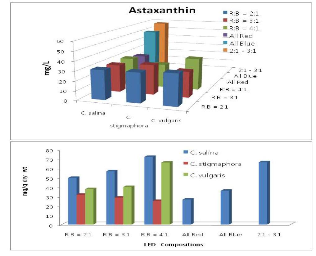 LED파장의 R/B shift에 따른 Chlorella spp.의 astaxanthin 농도의 변화