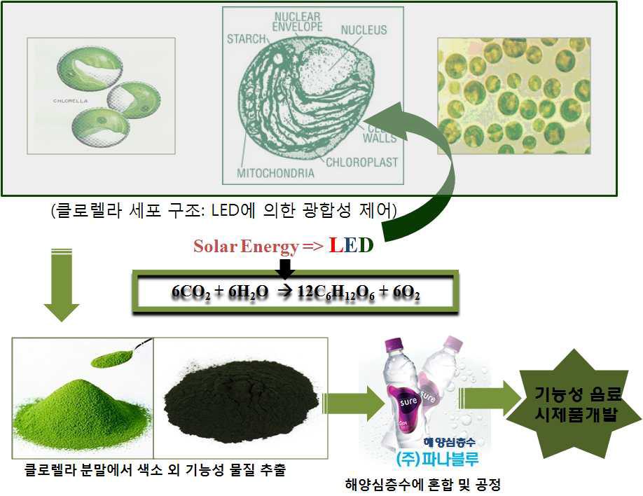 해양클로렐라와 해양심층수를 활용한 기능성 음료 개발 개념도