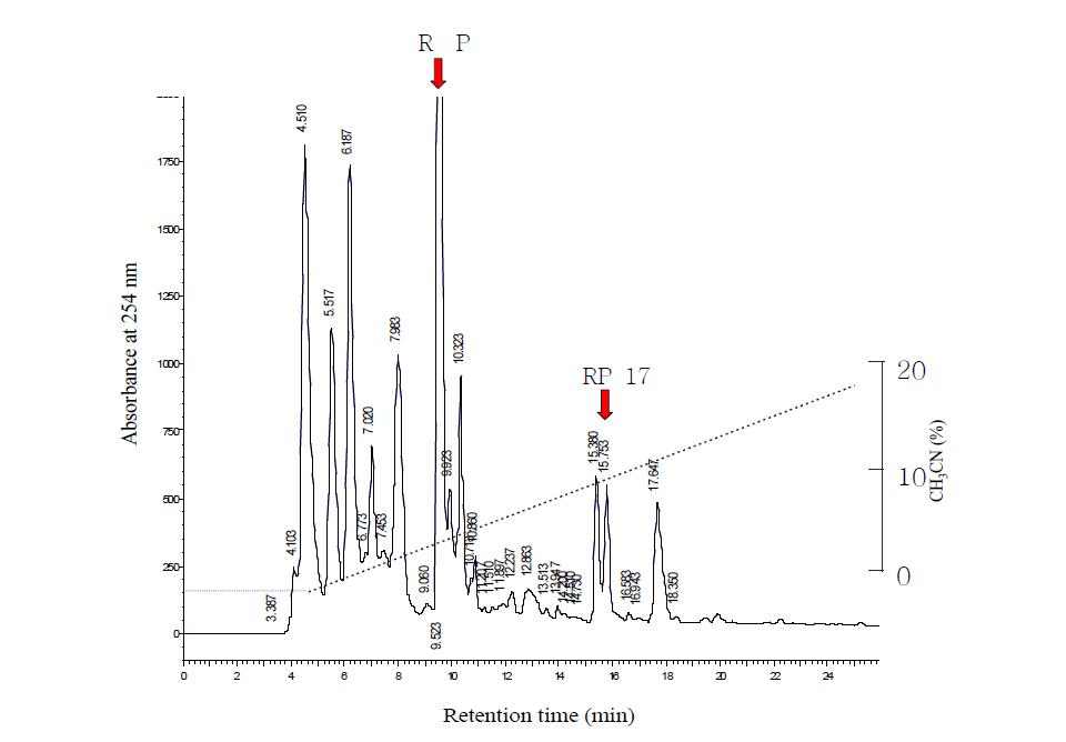 Reverse-phase HPLC profile of the active fraction SX 2 in 그림 14.The activity fraction were loaded onto 218TP510 Protein & peptide C18 (10 x 250 mm) column and eluted with a linear gradient of CH3CN (dotted line) in 0.1% TFA at a flow rate of 3.0 mL/min. The red arrow represent fractions of ACE inhibition activity.