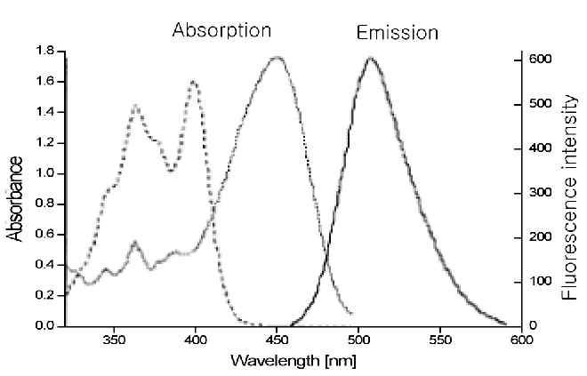 HPTS의 흡수파장과 형광 방출파장