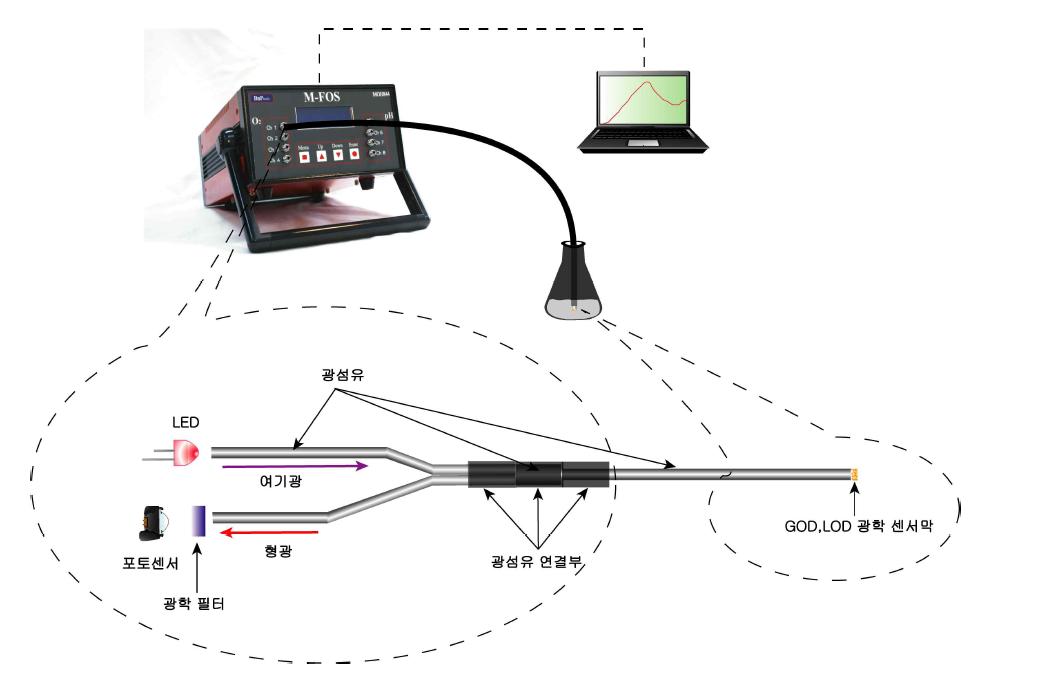 혈액 분석을 위한 광섬유 센서 장치구성