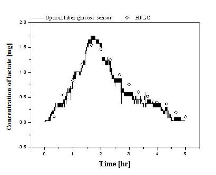 광섬유 젖산센서의 연속모니터링 데이터