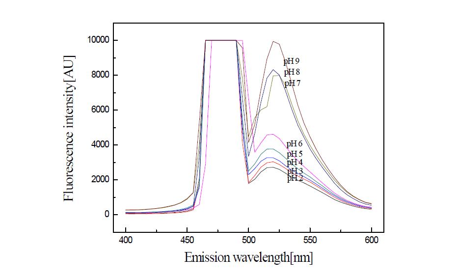 6-aminofluorescein의 pH에 따른 형광 스펙트럼