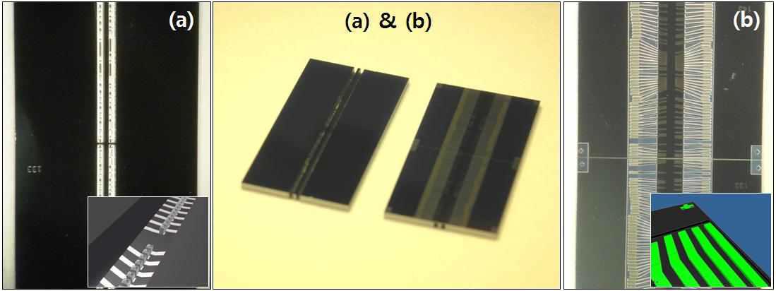 Fabricated 3D MEMS probe array block; (a) back side tip opening image and (b) probe array image after front side Si deep etching.
