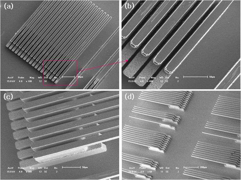 Wafer bonder를 이용하여 fine pitch 3D MEMS probe array를 bonding base 기판에 접합한 결과; (a) 30um pitch의 bump array 와 probe array의 접합 결과, (b) bonding bump 부분 확 대 모습, (c) bonding bump 부분의 상 측면 모습, (d) 접합된 fine pitch 3D MEMS probe array.