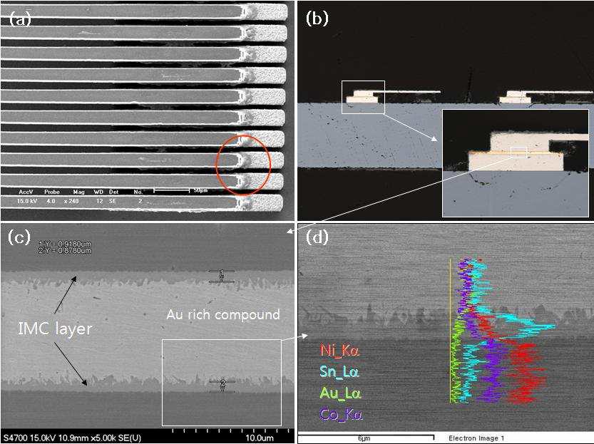 Wafer bonder를 이용한 fine pitch 3D MEMS probe array bonding 결과; (a) melting된 Au/Sn 접합 물질의 bonding bump 표면 퍼짐 현상, (b) probe 접합 부위의 단면 가공 후 관찰 사 진, (c) 접합 부위의 단면 SEM 분석, (d) 접합 부위의 단면 성분 분석: intermetallic compound (IMC) layer의 분석.