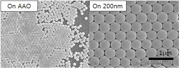 AAO 홈이 형성된 기판 및 200nm 홈이 형성된 기판위에 정렬된 실리카 비드 어레이