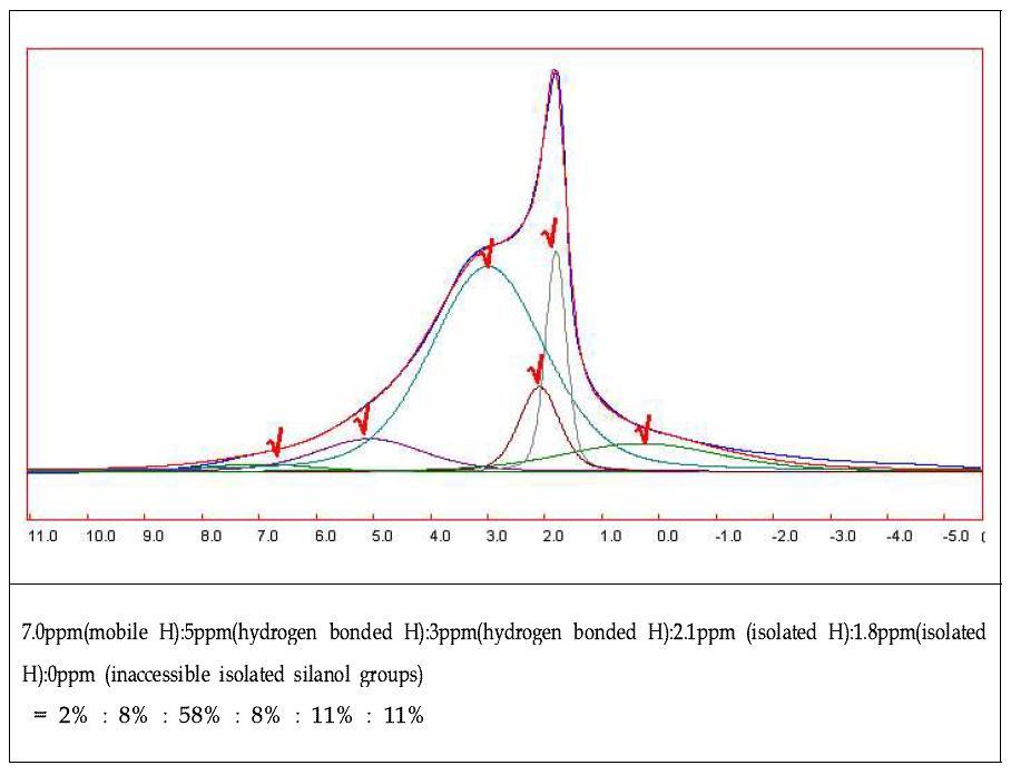 1H MAS NMR simulation.