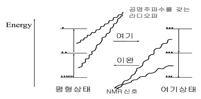 핵자기 공명 현상 설명도 (핵스핀 I=1인 경우)