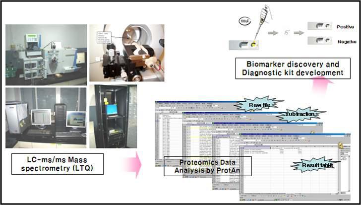 분석하고자 하는 샘플의 특성에 맞는 샘플 분리, 농축 방법을 확립하고, LC-MS/MS를 이용하여 단백질체의 profiling을 본 연구실에서 개발한 소프트웨어를 이용하여 비교 분석함.