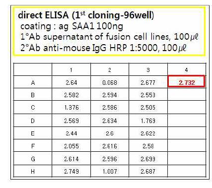 1st cloning (in 96 well plate)의 direct ELISA 결과