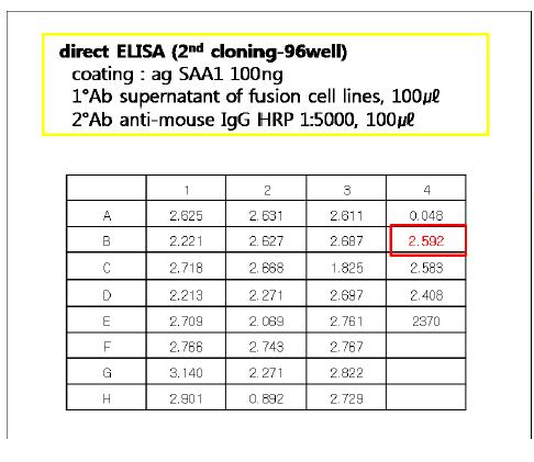 2nd cloning (in 96 well plate)의 direct ELISA 결과