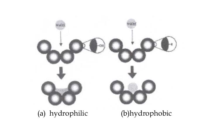 Hydrophilic and hydrophobic natures of aerogels