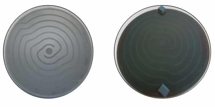 8인치 heating plate의 패터닝(左) 및 AlN 증착 후(右) 이미지