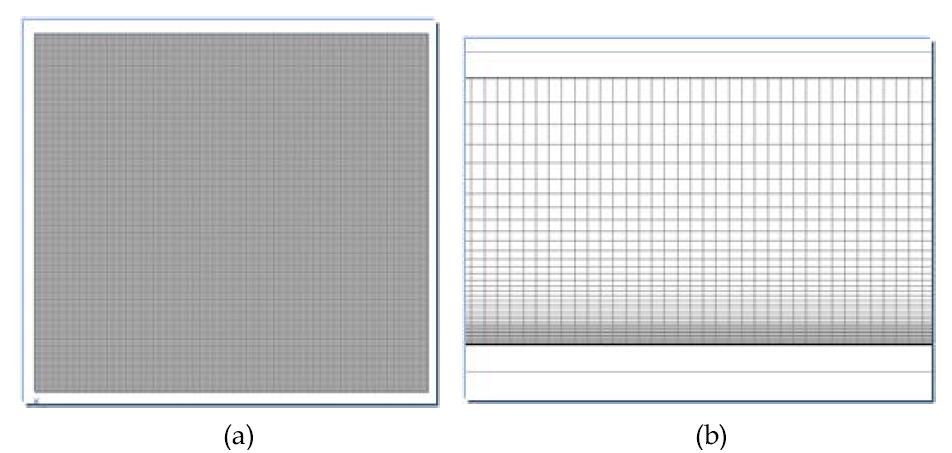 (a) x-y 면에 대한 격자생성 (b) x-z 면에 대한 격자 생성