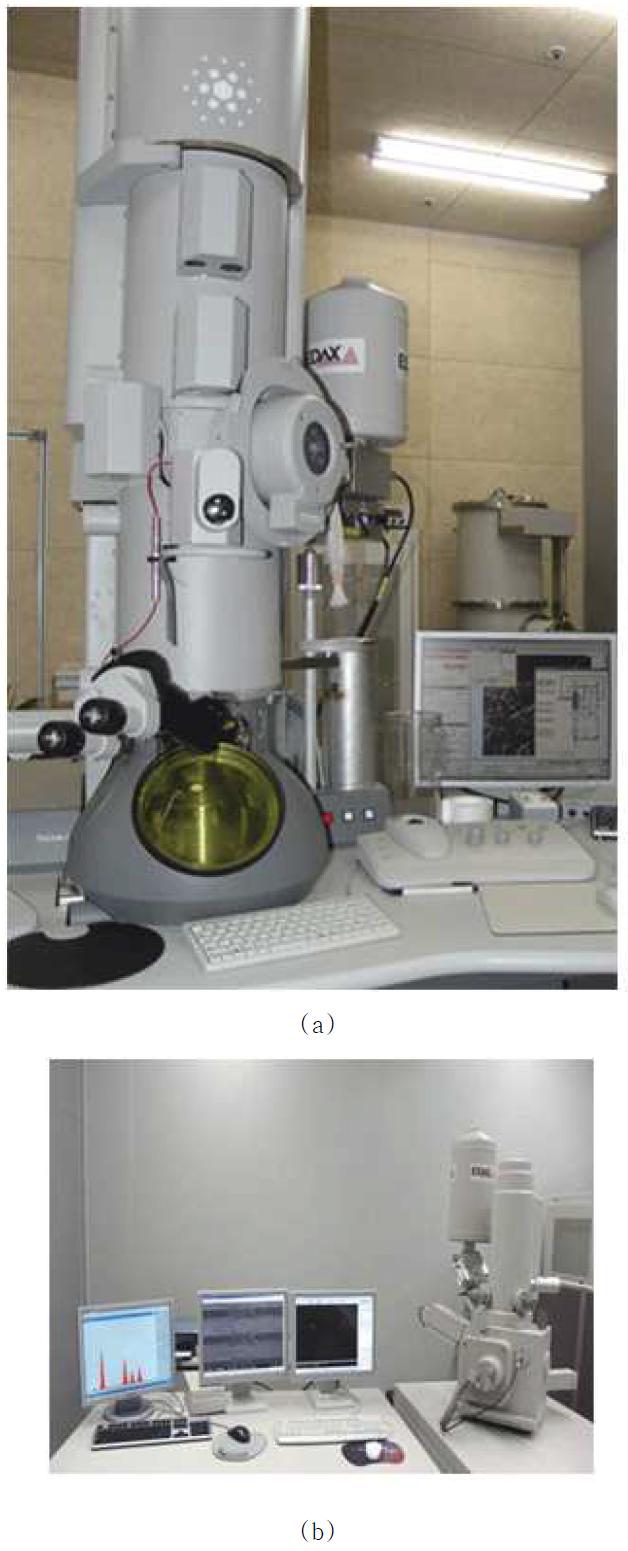 (a) TEM, (b) FE-SEM
