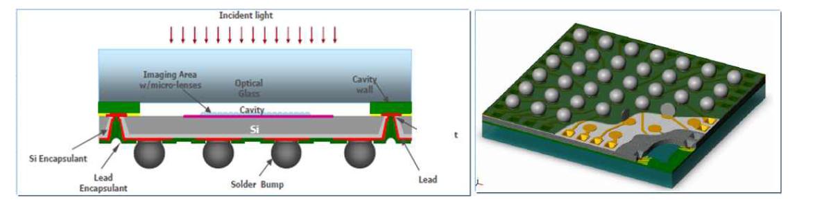 패키지 완료 된 CMOS Image Sensor