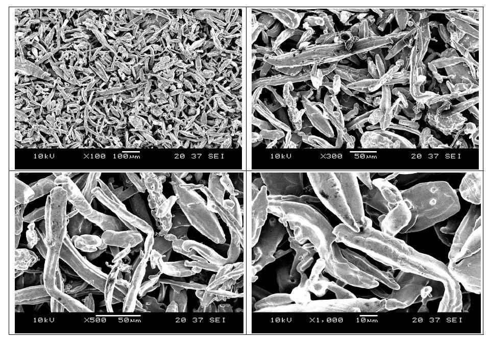 Ni 소재 metal fiber의 SEM 사진