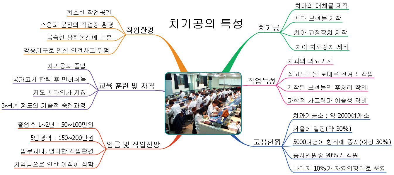 치기공의 특성