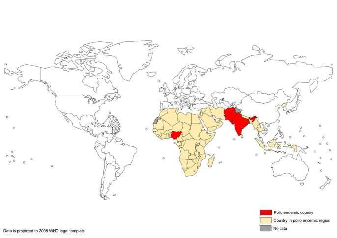 전세계 poliomyelitis 발생분포 (2008)