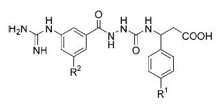 표면에 부착이 가능한 결합 부위(R1,R2)를 가지는 대용의 nonpeptidic diacylhydrazines